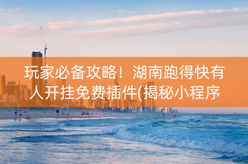 玩家必备攻略！湖南跑得快有人开挂免费插件(揭秘小程序提高胜率)