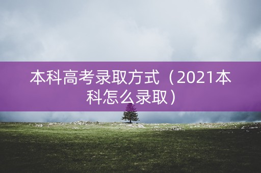 本科高考录取方式（2021本科怎么录取）