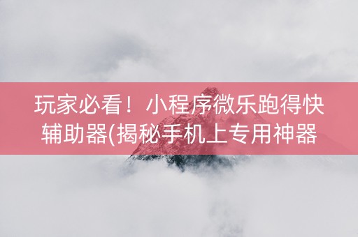 玩家必看！小程序微乐跑得快辅助器(揭秘手机上专用神器)