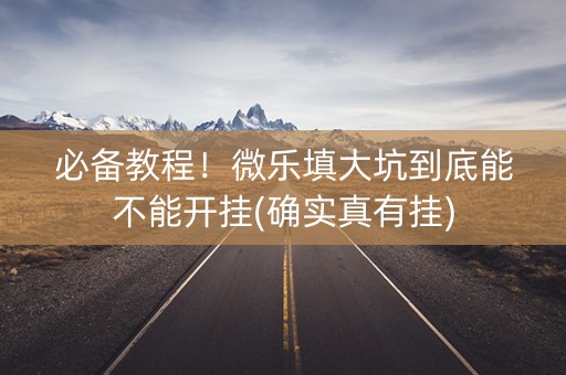 必备教程！微乐填大坑到底能不能开挂(确实真有挂)