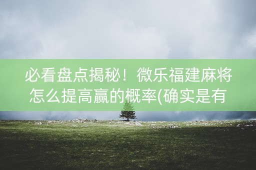 必看盘点揭秘！微乐福建麻将怎么提高赢的概率(确实是有挂)