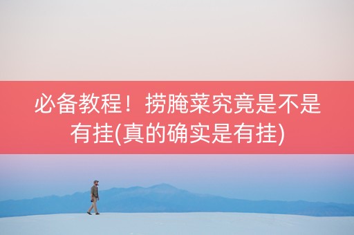 必备教程！捞腌菜究竟是不是有挂(真的确实是有挂)