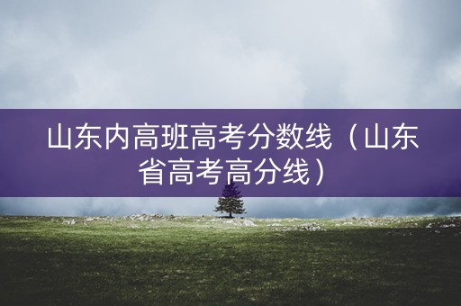 山东内高班高考分数线（山东省高考高分线）