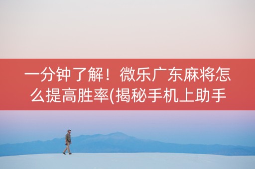 一分钟了解！微乐广东麻将怎么提高胜率(揭秘手机上助手软件)