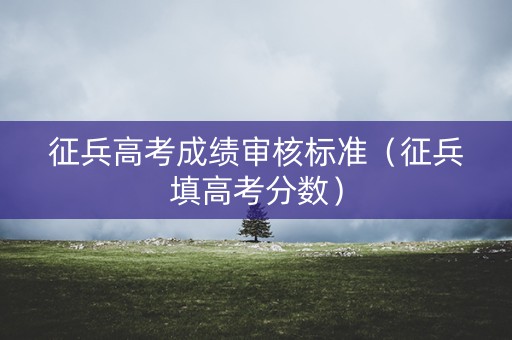 征兵高考成绩审核标准（征兵填高考分数）
