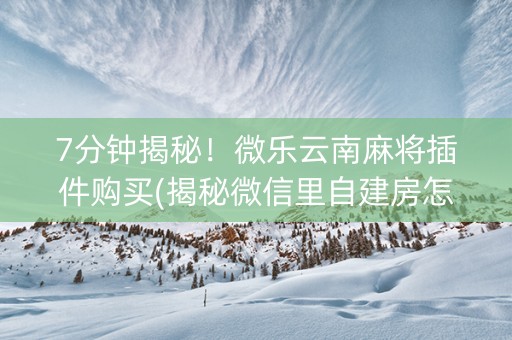 7分钟揭秘！微乐云南麻将插件购买(揭秘微信里自建房怎么赢)