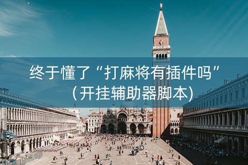 终于懂了“打麻将有插件吗”（开挂辅助器脚本)
