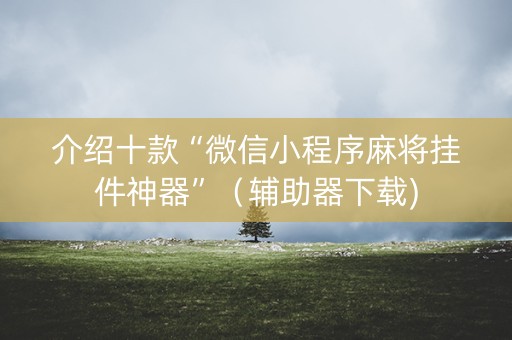 介绍十款“微信小程序麻将挂件神器”（辅助器下载)