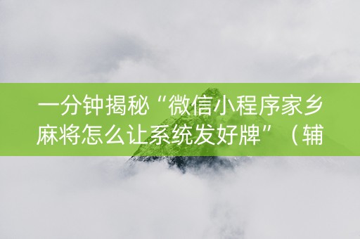 一分钟揭秘“微信小程序家乡麻将怎么让系统发好牌”（辅牌器插件购买)