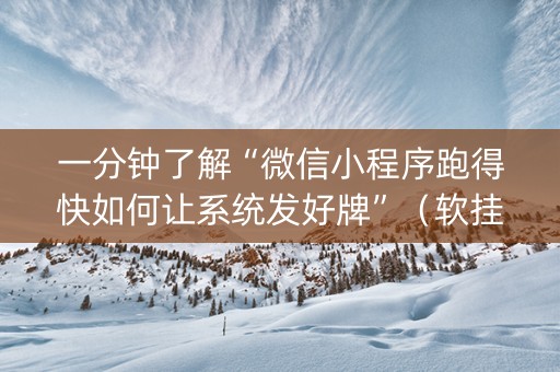 一分钟了解“微信小程序跑得快如何让系统发好牌”（软挂神器)