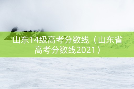 山东14级高考分数线（山东省高考分数线2021）