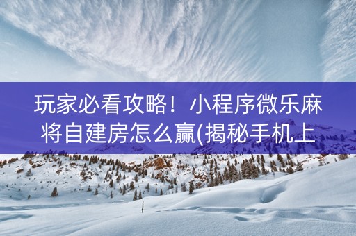 玩家必看攻略！小程序微乐麻将自建房怎么赢(揭秘手机上自建房怎么赢)