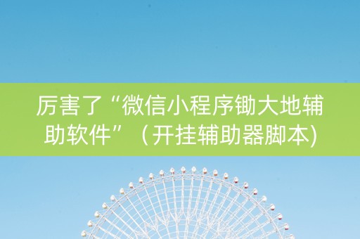 厉害了“微信小程序锄大地辅助软件”（开挂辅助器脚本)