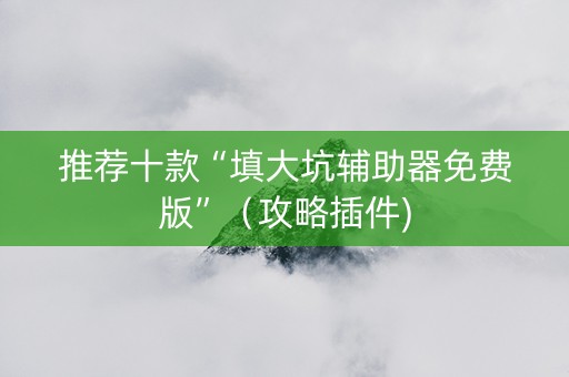 推荐十款“填大坑辅助器免费版”（攻略插件)