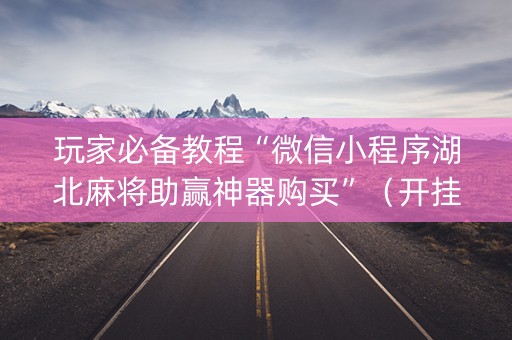 玩家必备教程“微信小程序湖北麻将助赢神器购买”（开挂神器下载)