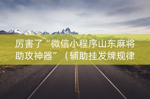 厉害了“微信小程序山东麻将助攻神器”（辅助挂发牌规律)