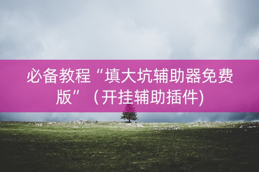 必备教程“填大坑辅助器免费版”（开挂辅助插件)