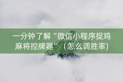 一分钟了解“微信小程序捉鸡麻将控牌器”（怎么调胜率)