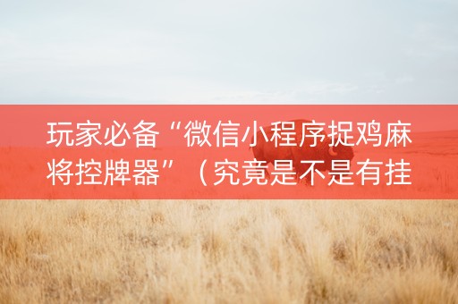 玩家必备“微信小程序捉鸡麻将控牌器”（究竟是不是有挂)