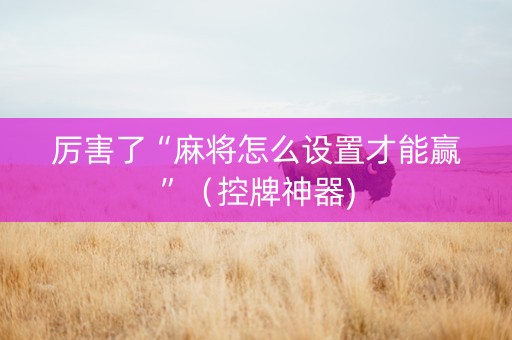 厉害了“麻将怎么设置才能赢”（控牌神器)