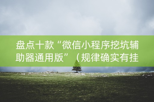 盘点十款“微信小程序挖坑辅助器通用版”（规律确实有挂)