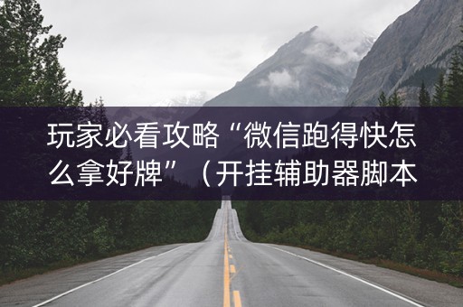 玩家必看攻略“微信跑得快怎么拿好牌”（开挂辅助器脚本)