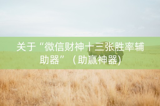 关于“微信财神十三张胜率辅助器”（助赢神器)