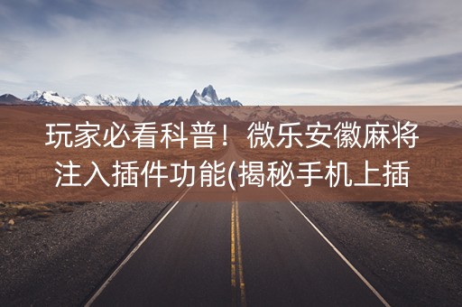 玩家必看科普！微乐安徽麻将注入插件功能(揭秘手机上插件购买)