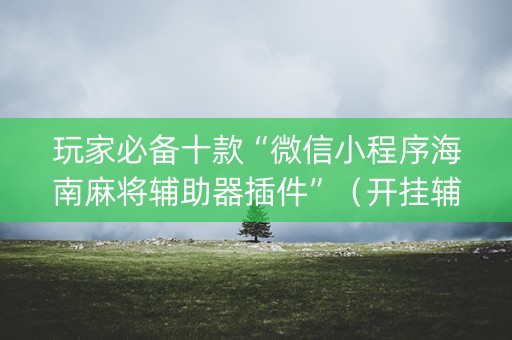 玩家必备十款“微信小程序海南麻将辅助器插件”（开挂辅助插件)