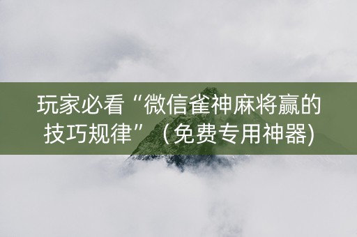 玩家必看“微信雀神麻将赢的技巧规律”（免费专用神器)