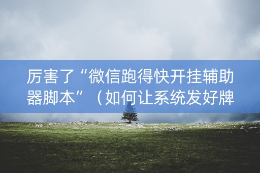 厉害了“微信跑得快开挂辅助器脚本”（如何让系统发好牌)