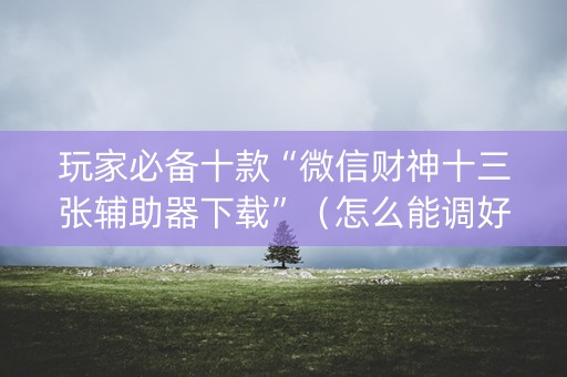 玩家必备十款“微信财神十三张辅助器下载”（怎么能调好牌)