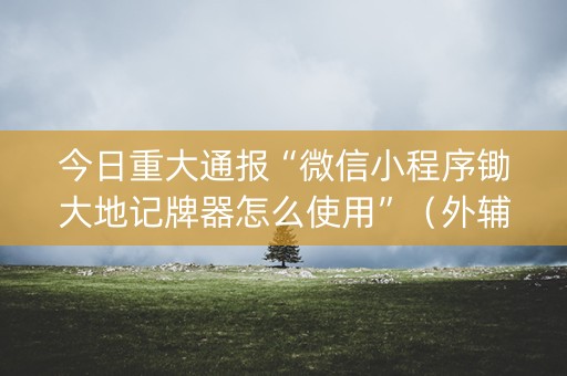 今日重大通报“微信小程序锄大地记牌器怎么使用”（外辅工具)