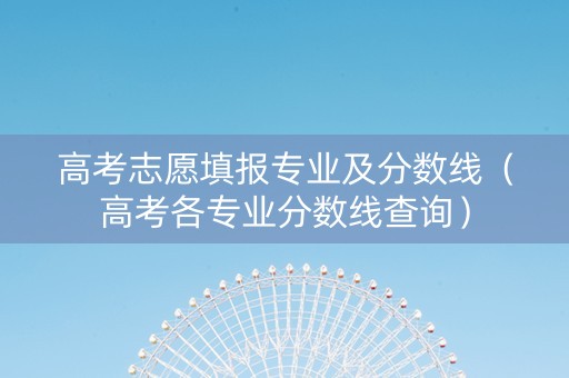 高考志愿填报专业及分数线（高考各专业分数线查询）