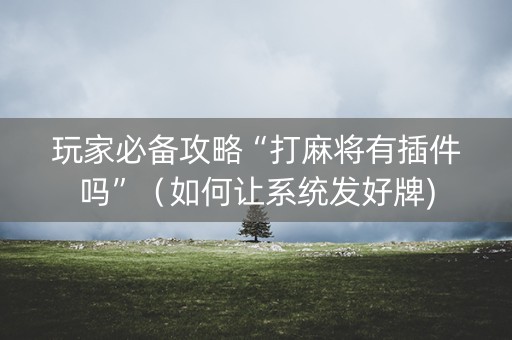 玩家必备攻略“打麻将有插件吗”（如何让系统发好牌)