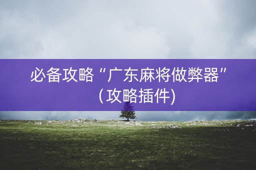 必备攻略“广东麻将做弊器”（攻略插件)