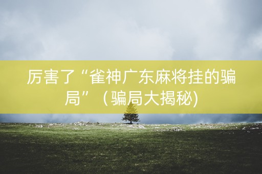 厉害了“雀神广东麻将挂的骗局”（骗局大揭秘)