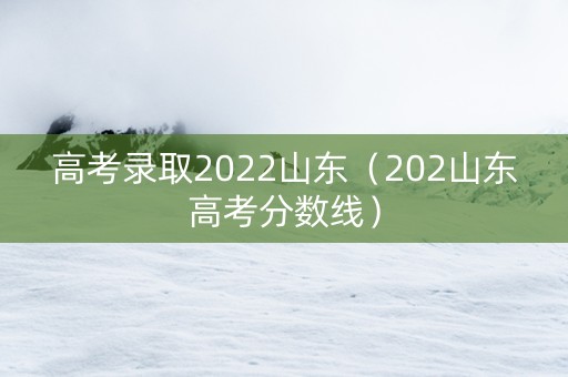 高考录取2022山东（202山东高考分数线）