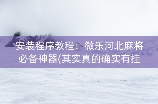 安装程序教程！微乐河北麻将必备神器(其实真的确实有挂)
