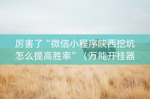 厉害了“微信小程序陕西挖坑怎么提高胜率”（万能开挂器)