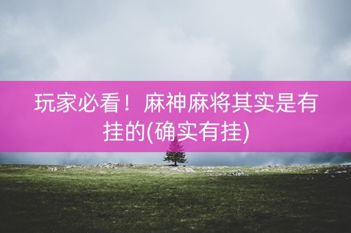 玩家必看！麻神麻将其实是有挂的(确实有挂)