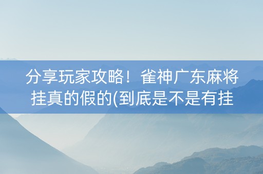 分享玩家攻略！雀神广东麻将挂真的假的(到底是不是有挂)