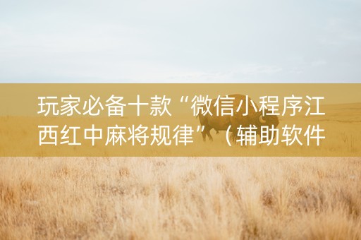玩家必备十款“微信小程序江西红中麻将规律”（辅助软件)