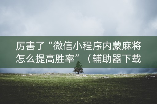 厉害了“微信小程序内蒙麻将怎么提高胜率”（辅助器下载)