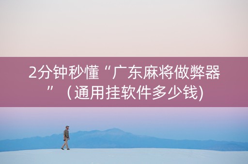 2分钟秒懂“广东麻将做弊器”（通用挂软件多少钱)