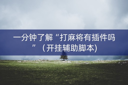 一分钟了解“打麻将有插件吗”（开挂辅助脚本)