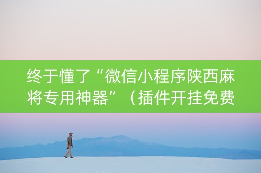 终于懂了“微信小程序陕西麻将专用神器”（插件开挂免费AI)