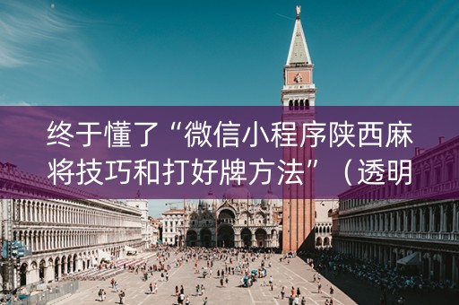 终于懂了“微信小程序陕西麻将技巧和打好牌方法”（透明挂辅助器)