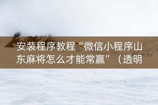 安装程序教程“微信小程序山东麻将怎么才能常赢”（透明挂辅助器)