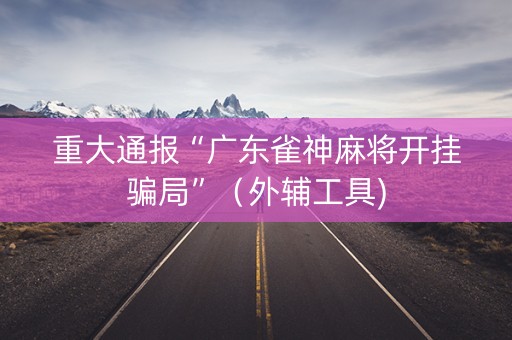 重大通报“广东雀神麻将开挂骗局”（外辅工具)